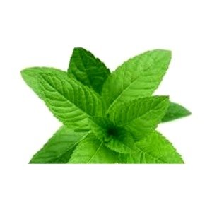 Home & Clean Pro aroma menta